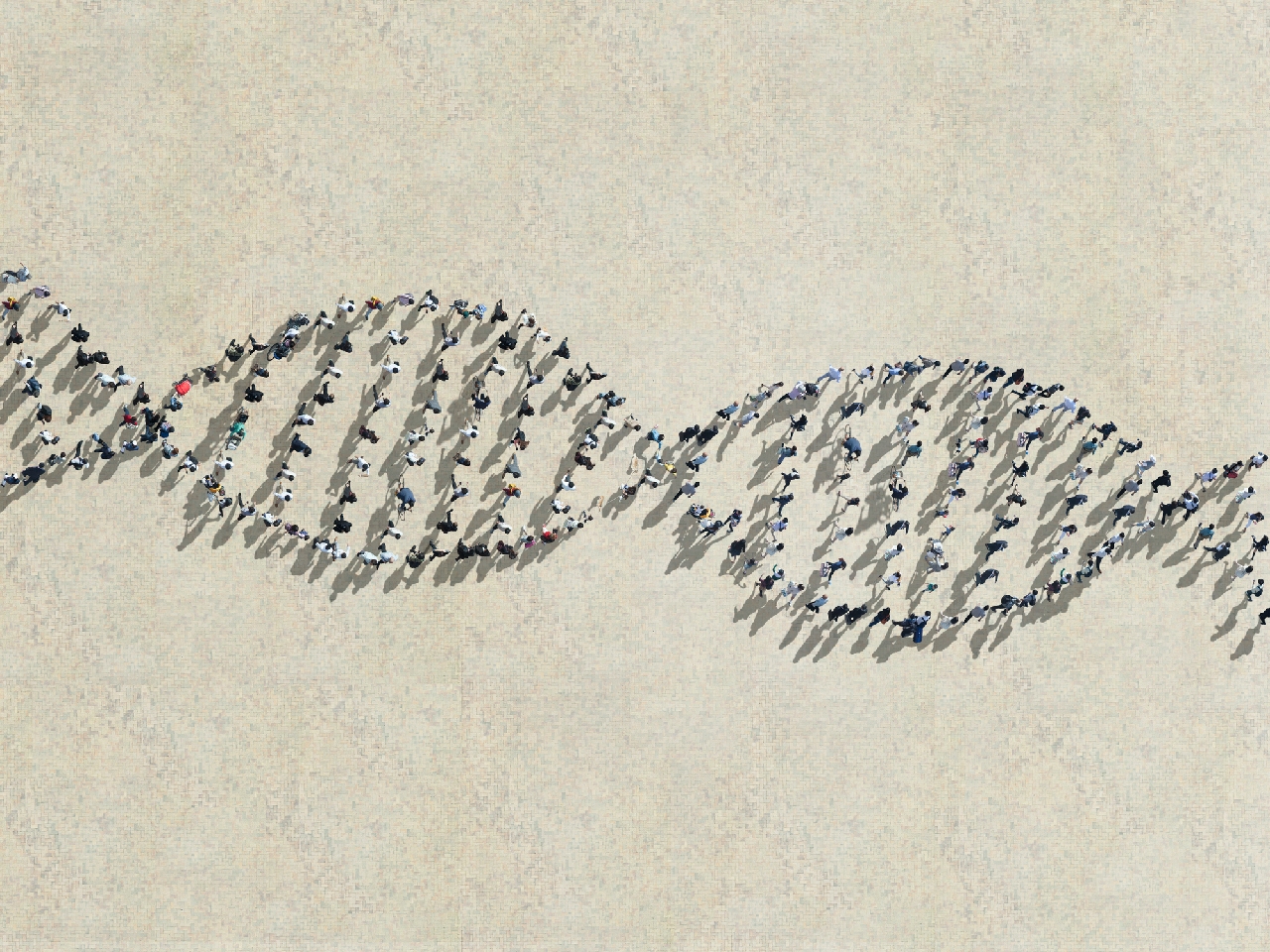 由行走的人组成的DNA链